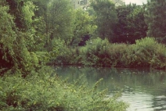 Blick von der Donau Richtung Schloss