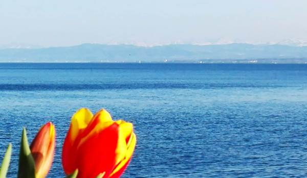 Blick von Meersburg über den See
