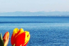 Blick von Meersburg über den See