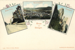 Ebingen-1904-Bitzersteig_Waldpartie_Ortsansicht_800