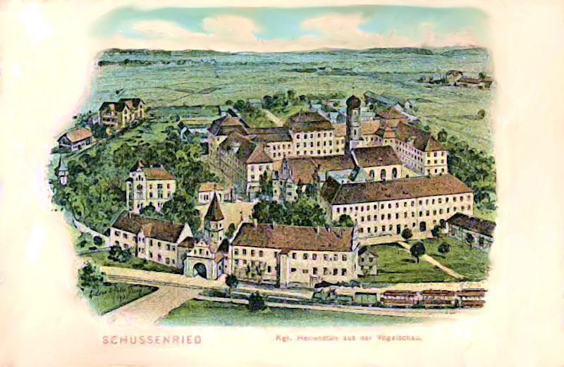 Schussenried kgl. Heilanstalt aus der Vogelschau, Felle um 1910