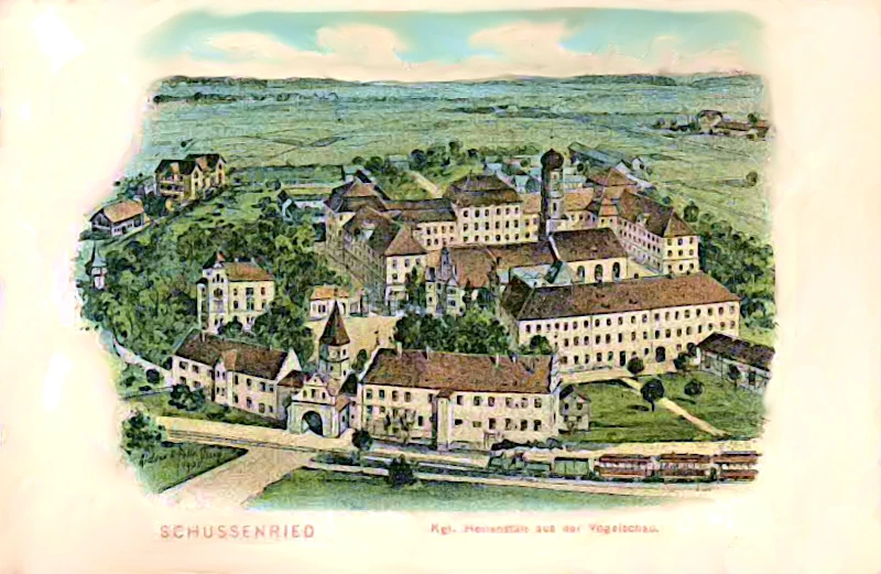 Schussenried, kgl. Heilanstalt aus der Vogelschau, Felle um 1910