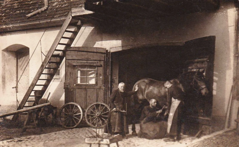 Beuron_Klosterschmiede_Moenche_beschlagen_ein_Pferd_um_1910_800