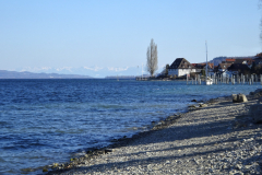 DSC05053_korr_800