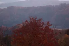 Blick_vom_Hoechsten_zum_Wegkreuz_2_800h