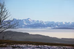 Hoechsten_Alpenpanorama_zum_Saentis_800