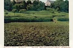 Igling_Maldeghemsches_Schloss_1900_800