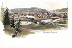 Immendingen_1903_800