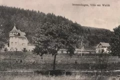 Immendingen_Villa_am_Walde_1922_800