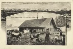 Schletteralm_Felle_1920_800