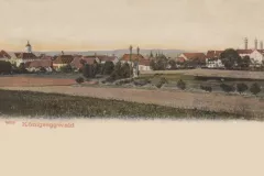 Koenigseggwald_Gesamtansicht_1906_800