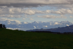DSC07416_korr