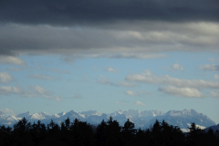 DSC07440