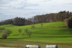 DSC07469_korr