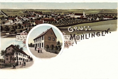Gruss_aus_Muehlingen_Otto_Weit_1889_800