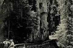 Obermaiselstein Hirschsprung 1905