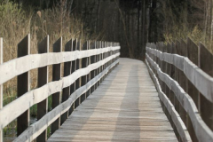 pfrunger_ried014