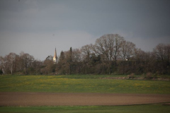 pfrunger_ried029