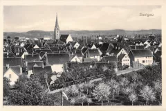 AK-Saulgau-Gesamtansicht_1914_800