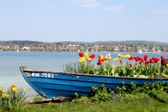 Reichenau Blick nach Hegne