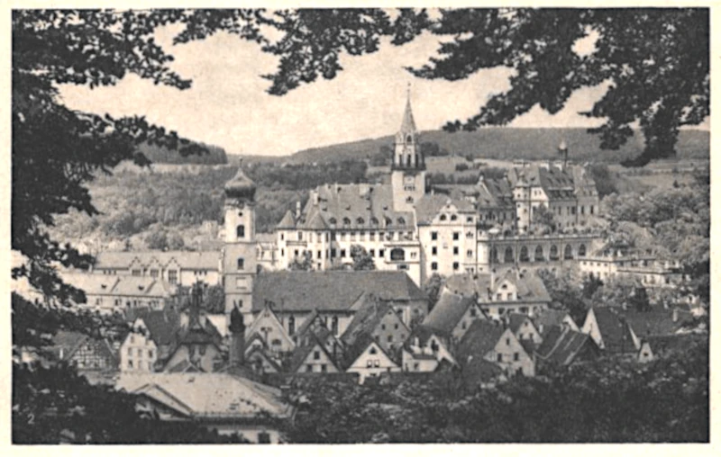 Sigmaringen Stadt und Schloss vom Josephsberg her um 1920
