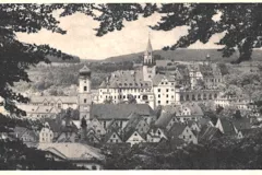 Sigmaringen Stadt und Schloss vom Josephsberg her um 1920