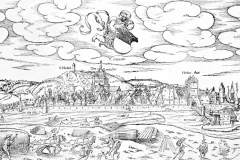 Warhaffte_Contrafehtung_der_Reichsstatt_Ulm_Kupferstich_aus_Sebastian_Muensters_Cosmographie_um_1570_800