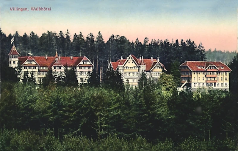Villingen_Blick_auf_das_Waldhotel_1915_800
