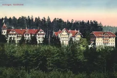 Villingen_Blick_auf_das_Waldhotel_1915_800