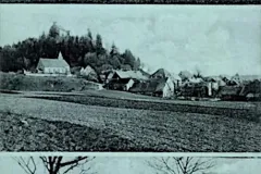 Waldburg: Schloss mit Zufahrtsstrasse, Ortsansicht 1915