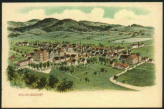 Wilhelmsdorf-Vogelschau