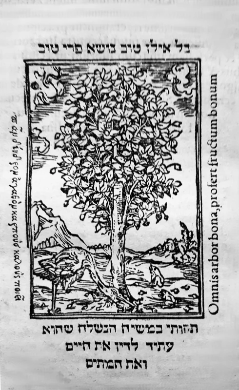 Hebräischer Wiegendruck aus Isny um 1540
